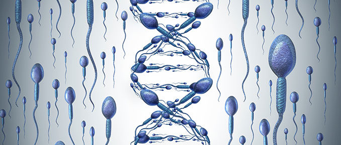 Dna spermatico a Salerno