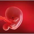 Anomalie Congenite e Sostanze Teratogene