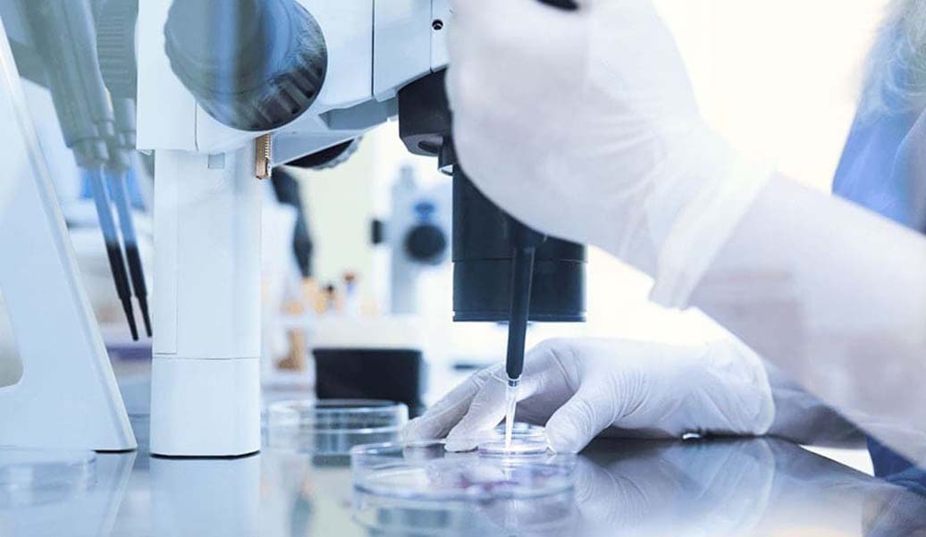 Inseminazione Artificiale