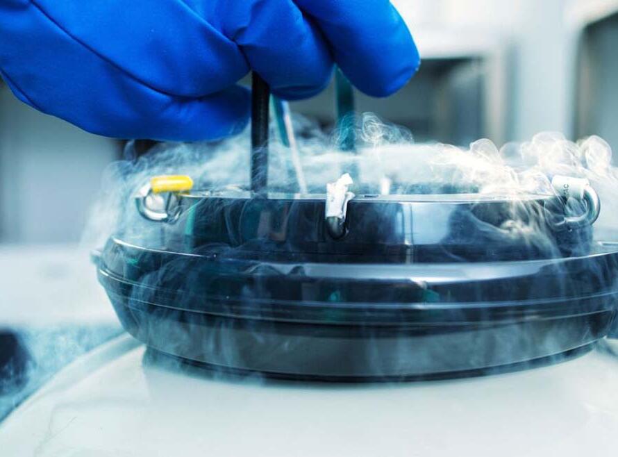 Social Egg Freezing a Napoli