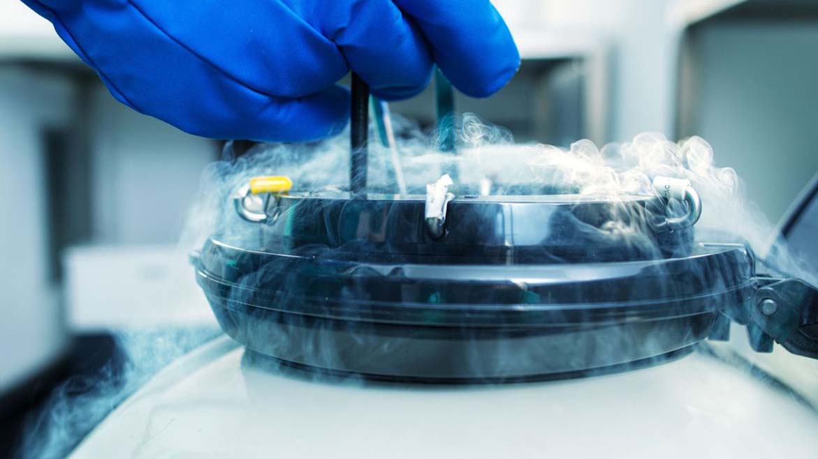 Social Egg Freezing