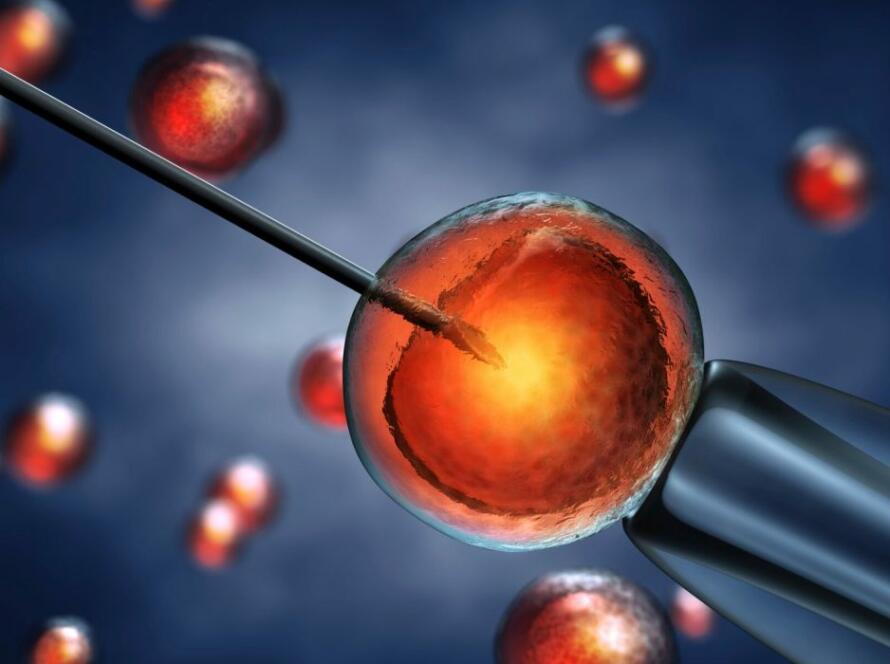 biopsia testicolare