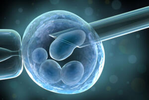 inseminazione artificiale neorepro