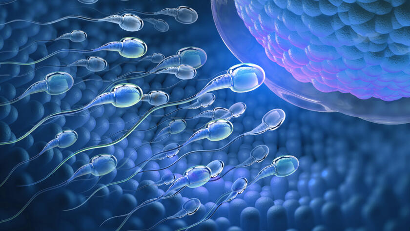 inseminazione intrauterina