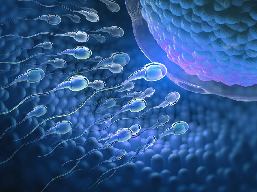 inseminazione intrauterina
