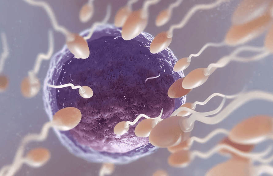 inseminazione intrauterina a Napoli