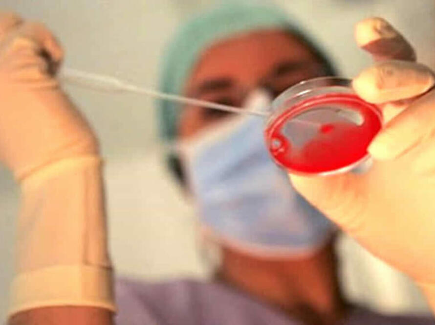 preservazione fertilità