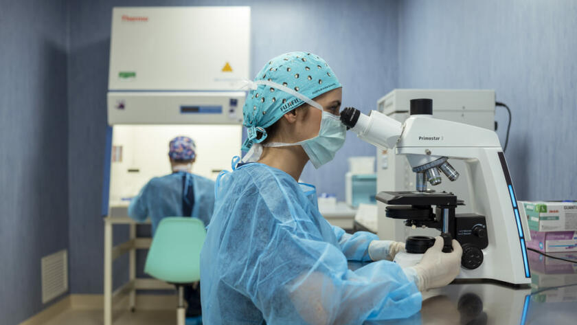 Fecondazione assistita a Napoli e Campania