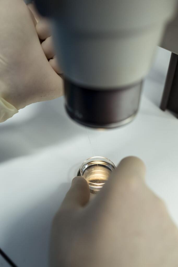 LABORATORIO NEOREPRO 70