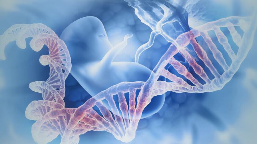 diagnosi prenatale a Napoli