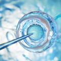 Trattamento di Procreazione Medicalmente Assistita a Napoli: Il Percorso con Neorepro