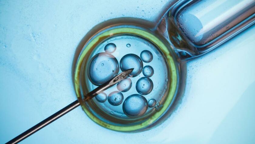 Endometriosi e transfer embrionale a Napoli