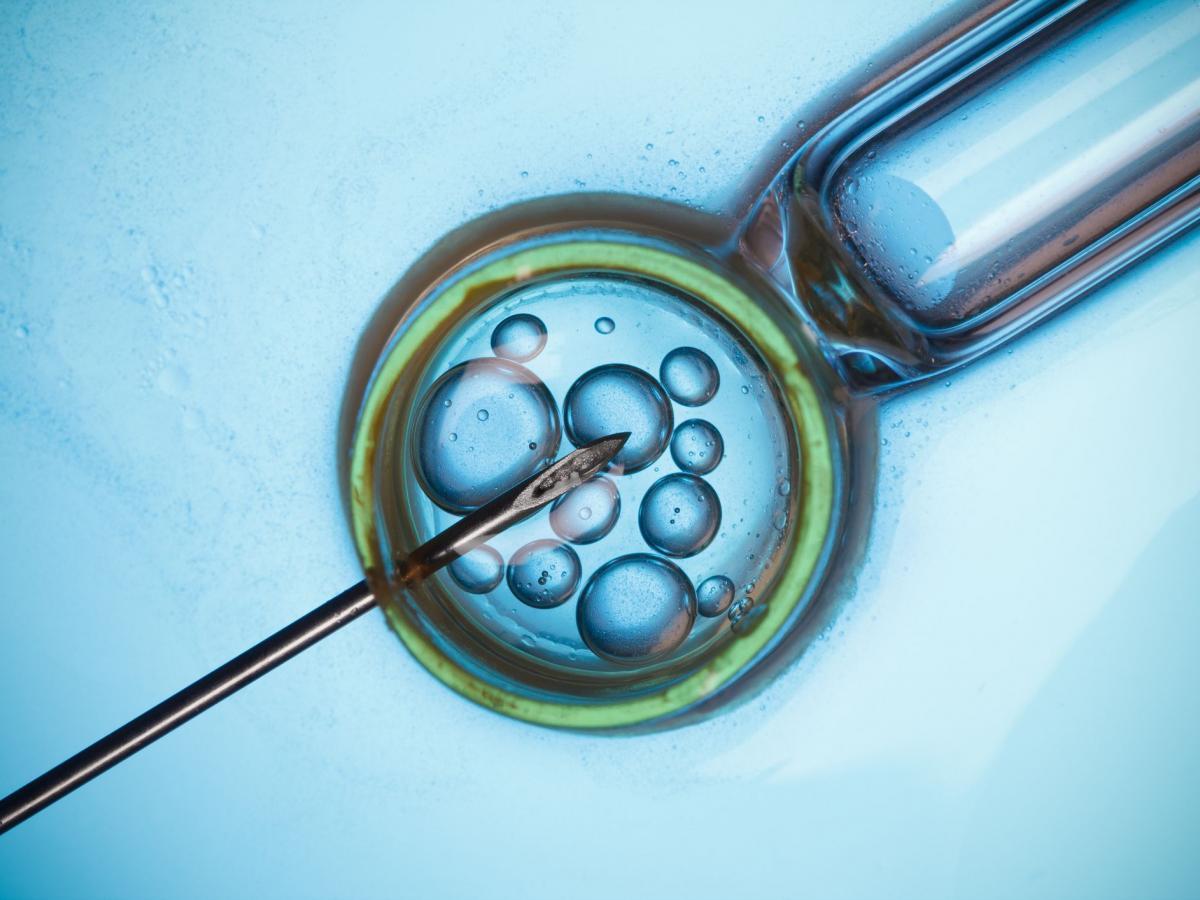 Endometriosi e transfer embrionale a Napoli