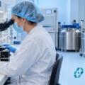 Embrioni congelati nella PMA a Napoli: dal laboratorio al possibile utilizzo